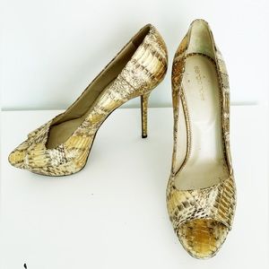 Sergio Rossi snake skin heels